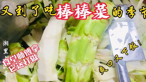 保定老师吃瓜,揭秘校园八卦背后的真相