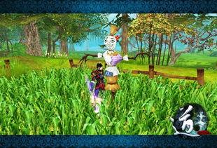 仙界吃瓜视频,揭秘仙界吃瓜视频背后的神秘故事