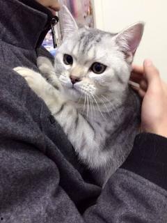 吃瓜视频大全帅哥,吃瓜视频大全中的帅哥盘点