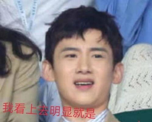 白敬亭吃自己瓜,瓜田李下引发热议