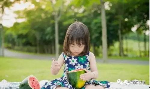 洋洋吃的瓜,洋洋的瓜界探险记