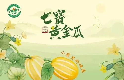 月下吃瓜的人作者,探寻月下吃瓜的人背后的故事与情感