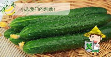 吃瓜种瓜人,人生百态的寓言故事